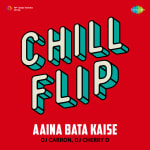 Aaina Bata Kaise - Chill Flip
