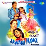 Jawani Ki Hawa