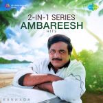 2-in-1 Series â€“ Ambareesh Hits