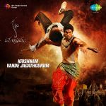 Krishnam Vande Jagadgurum