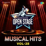 Open Stage Musical Hits - Vol 28