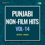 Punjabi Non-Film Hits Vol-14
