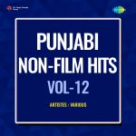 Punjabi Non-Film Hits Vol-12