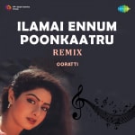 Ilamai Ennum Poonkaatru - Remix