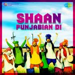 Shaan Punjabian Di