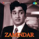 Zameendar