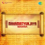 Com Of Mrutyunjaya Mantra Narration In English