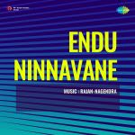 Endu Ninnavane