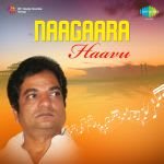 Naagaara Haavu