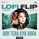 Didi Tera Kya Hoga LoFi Flip