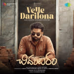 Velle Darilona - Sri Chidambaram