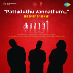 Pattuduthu Vannathum - Kumari