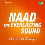 Naad/The Everlasting Sound - Instrumental