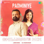 Padminiye - Chillwave Mix