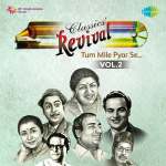 Revival Vol.2 Tum Mile Pyar Se