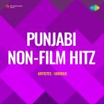 Punjabi Non-Film Hitz