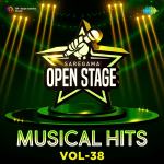 Open Stage Musical Hits - Vol 38