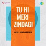 Tu Hi Meri Zindagi