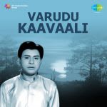 Varudu Kaavaali