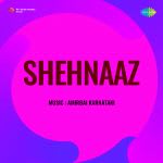 Shehnaaz