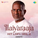 Ilaiyaraaja Hit Lofis - Vol. 02
