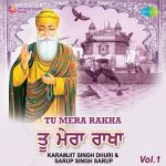 Tu Mera Rakha Vol.1