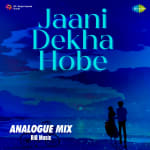 Jaani Dekha Hobe - Analogue Mix