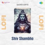 Shiv Shambho Lofi