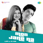 Mon Jane Na - LoFi