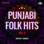 Punjabi Folk Hits Vol-2
