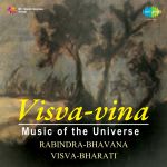 Visva Vina Music Of The Universe