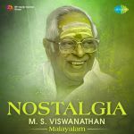 Nostalgia - M.S. Viswanathan