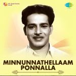 Minnunnathellam Ponnalla