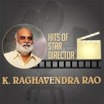 Hits of Star Director - K. Raghavendra Rao