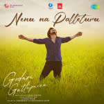 Nenu Na Palleturu - Godari Gattupaina