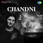 Chandni