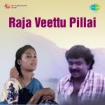 Raja Veettu Kannukutty