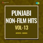 Punjabi Non-Film Hits Vol-13