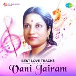 Best Love Tracks - Vani Jairam