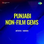 Punjabi Non-Film Gems Vol-3