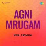 Agni Mrugam