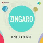 Zingaro