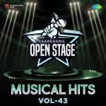 Open Stage Musical Hits - Vol 43