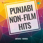 Punjabi Non-Film Hits