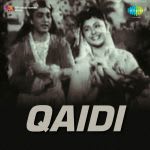 Qaidi