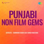 Punjabi Non-Film Gems