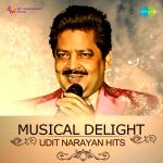 Musical Delight - Udit Narayan Hits