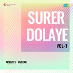 Surer Dolaye Vol-1