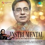 Instrumental - Best Of Jagjit Singh