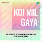 Koi Mil Gaya (Remix)